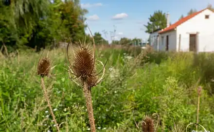 Prodej zahrady 1 202 m², Břeclav