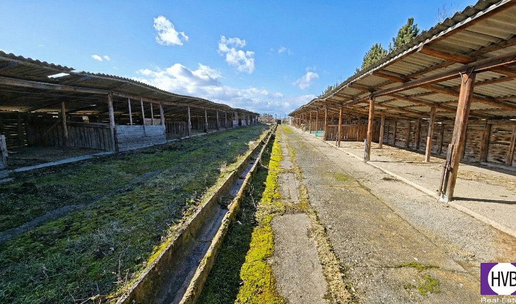 Prodej komerčního pozemku 6 493 m², Svrkyně – náhled fotky 7