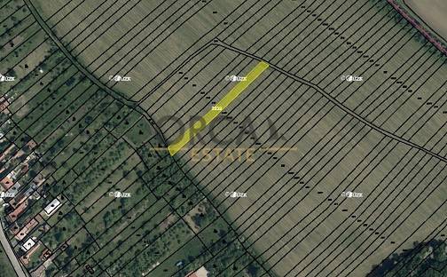 Prodej pole 1 222 m², Radějov, okres Hodonín