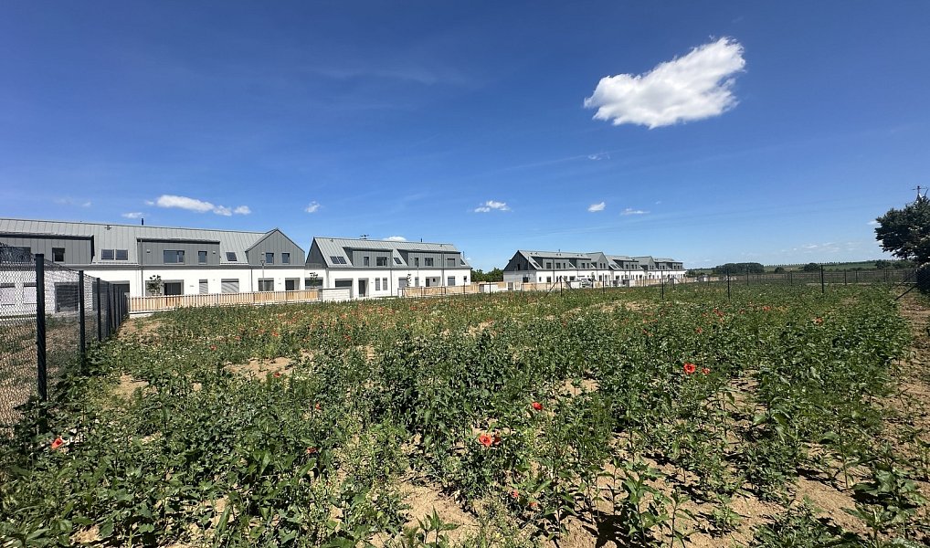 Prodej stavebního pozemku 743 m², Strážnice – náhled fotky 2