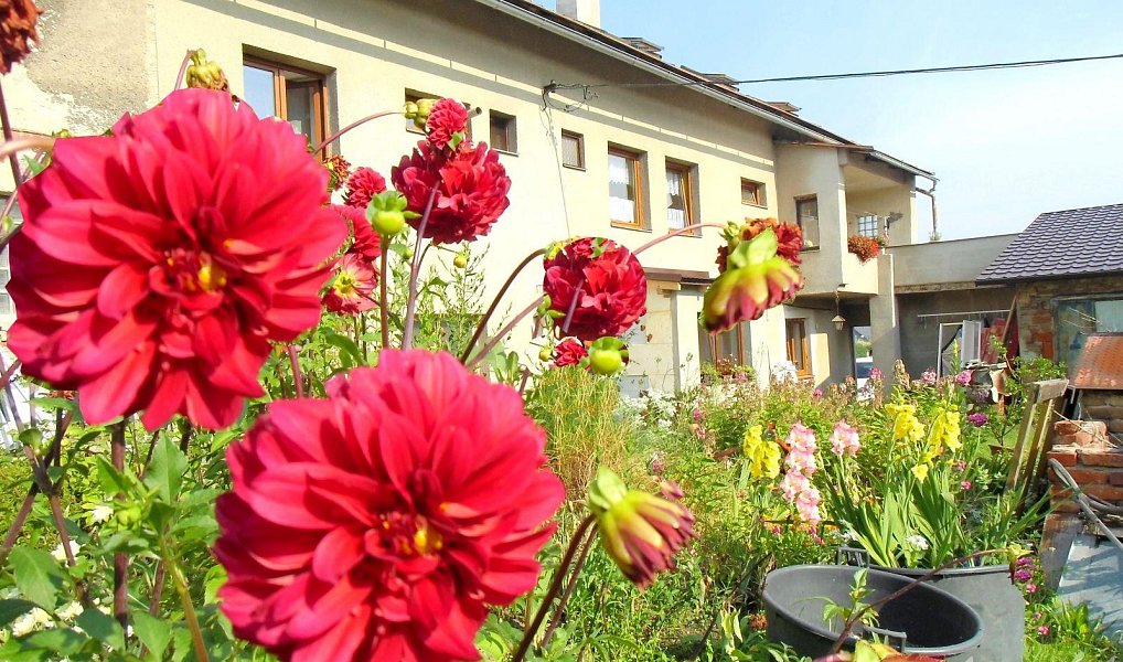 Pronájem bytu 1+kk 15 m², Bakov nad Jizerou – náhled fotky 4