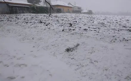 Dražba pole 1 638 m², Škvorec