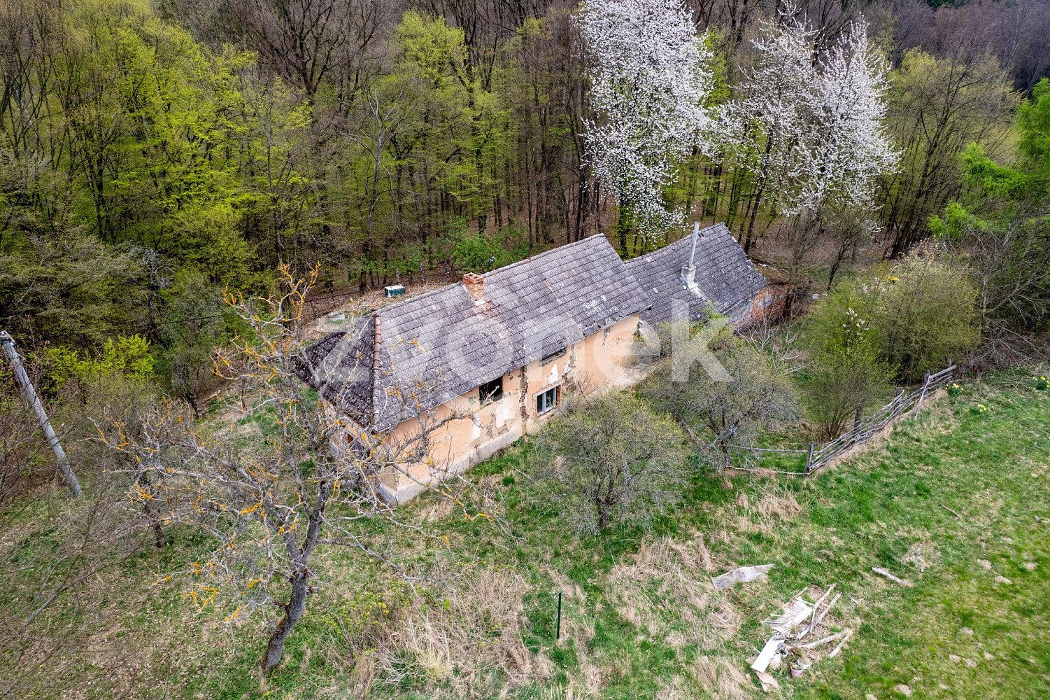 Prodej domu 210 m² s pozemkem 3 984 m² — photo 3