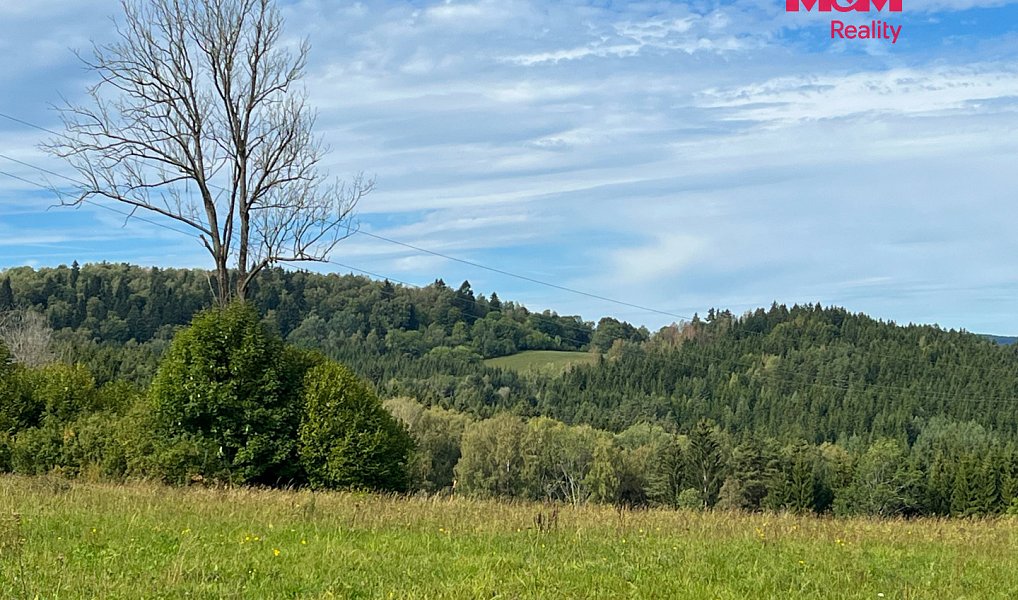 Prodej stavebního pozemku 64 409 m², Záblatí – náhled fotky 11