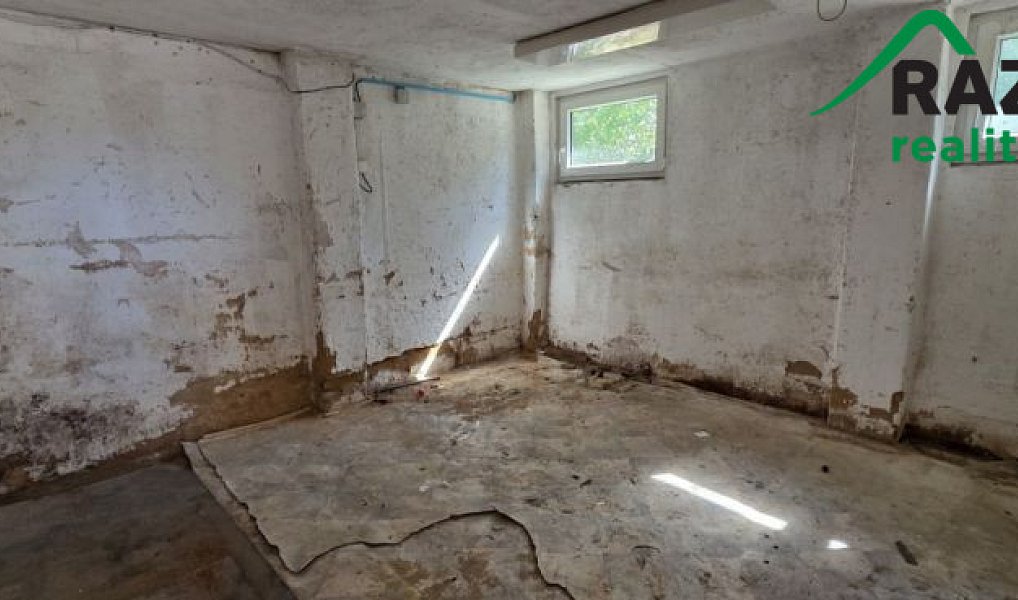 Pronájem výrobních prostor 249 m², Planá – náhled fotky 16