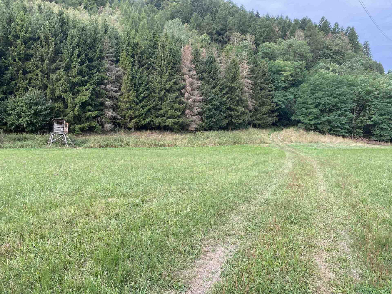 Prodej pole 2 289 m²
