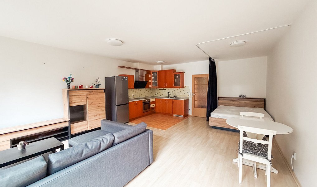Pronájem bytu 1+kk 48 m², Praha – náhled fotky 7