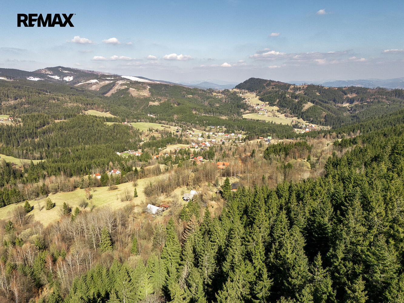 Prodej lesa 47 046 m²