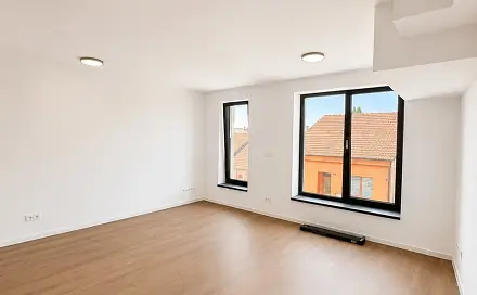 Pronájem bytu 1+kk 37 m², Havraní, Brno - Černovice