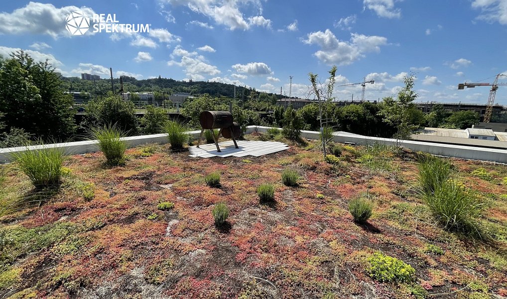 Pronájem kanceláře 200 m², Brno – náhled fotky 9