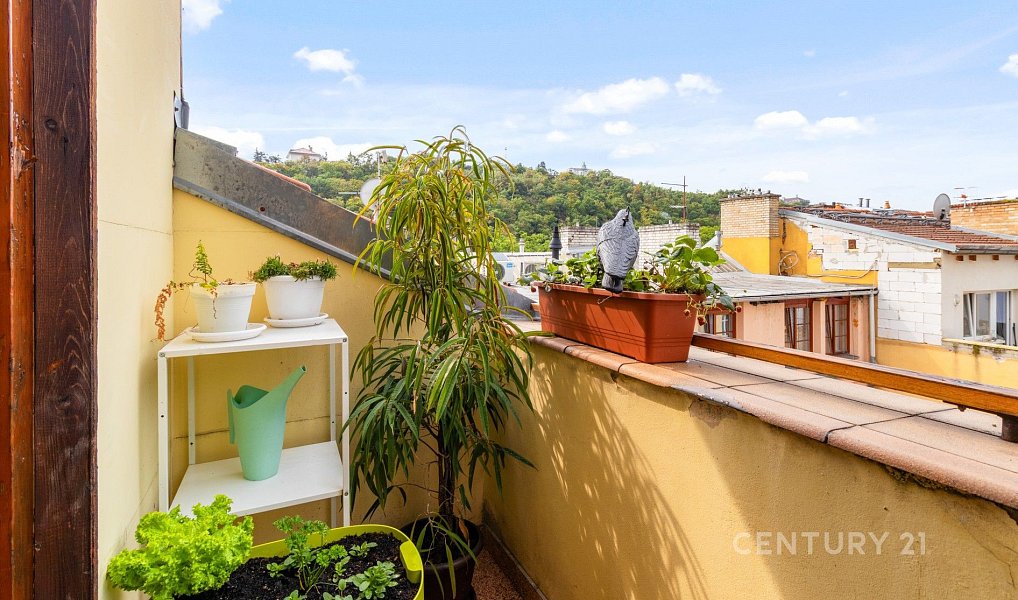 Prodej bytu 2+1 87 m², Praha – náhled fotky 17