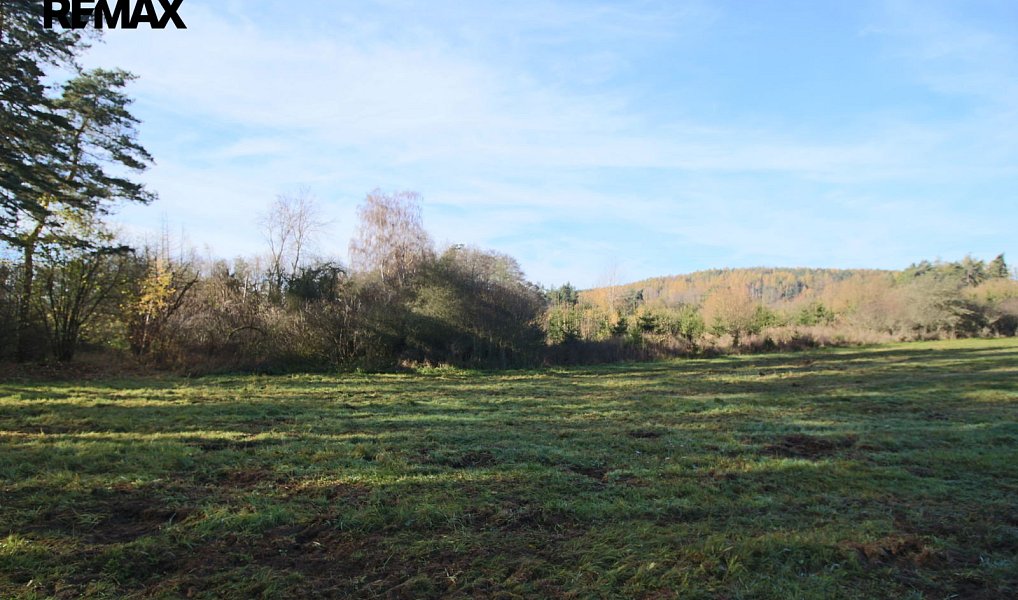 Prodej lesa 19 636 m², Břežany – náhled fotky 4