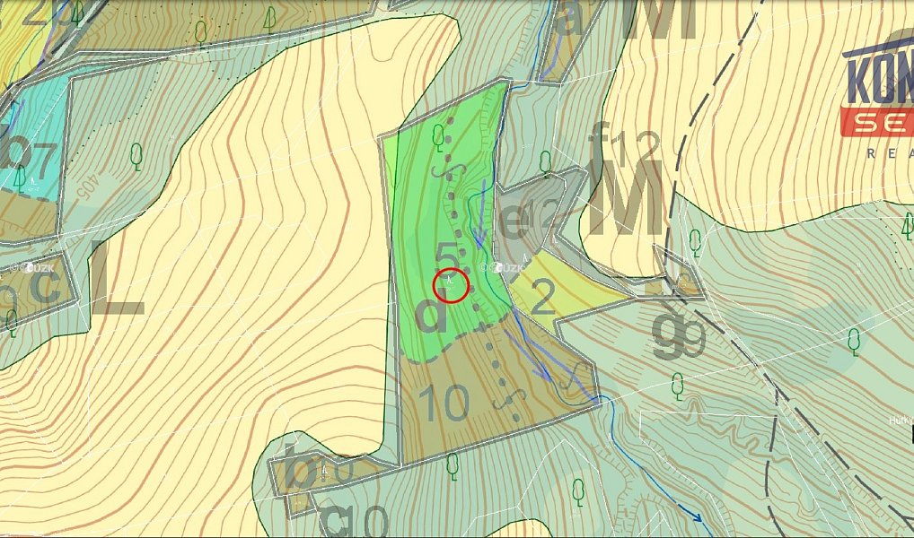 Prodej lesa 12 739 m², Životice u Nového Jičína – náhled fotky 4