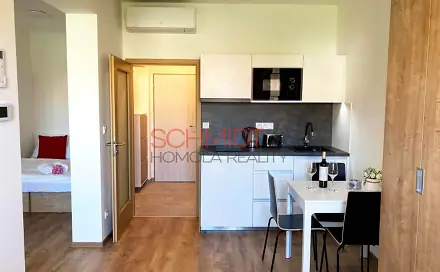 Pronájem bytu 2+kk 32 m², Purkyňova, Mikulov, okres Břeclav