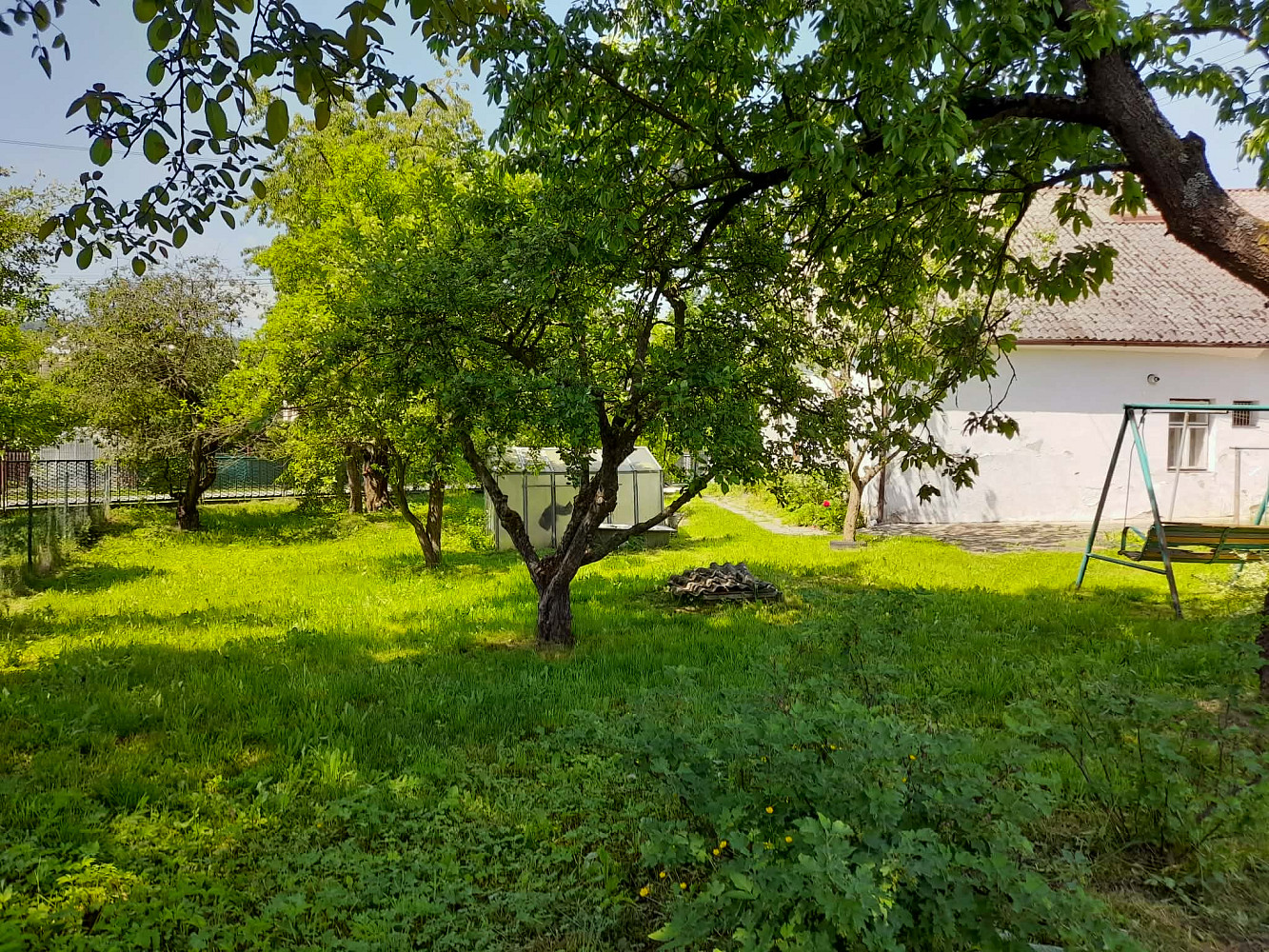 Fotka 27 z 30