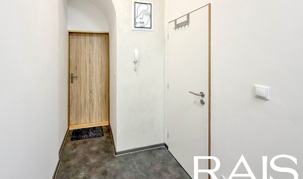 Prodej bytu 1+kk 33 m², Brno – náhled fotky 7