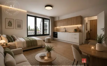 Pronájem bytu 1+kk 38 m², Železná, Plzeň - Jižní Předměstí