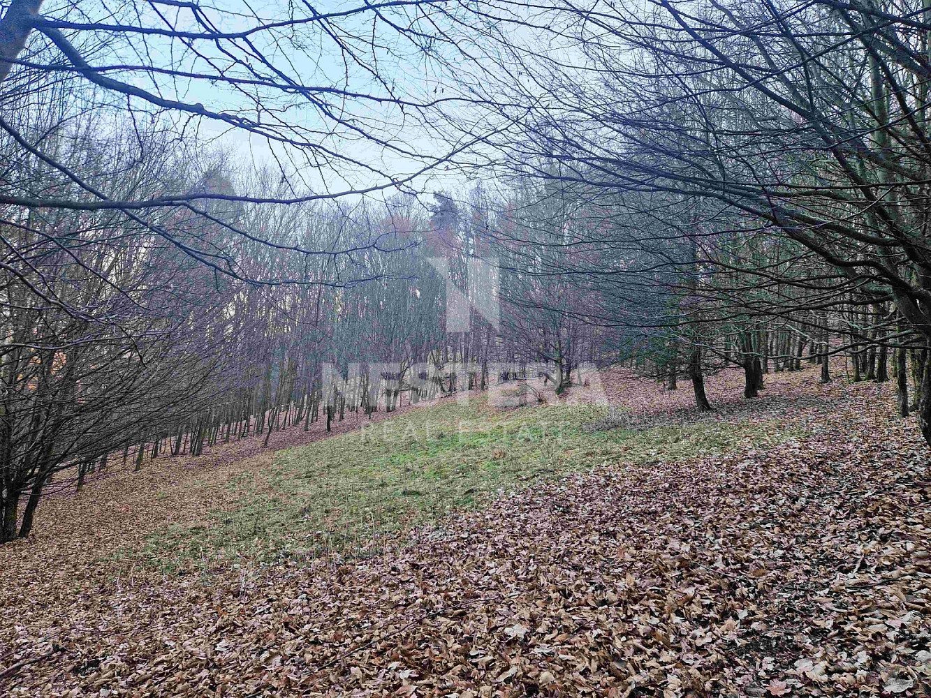 Prodej louky 10 301 m² – fotografie 4