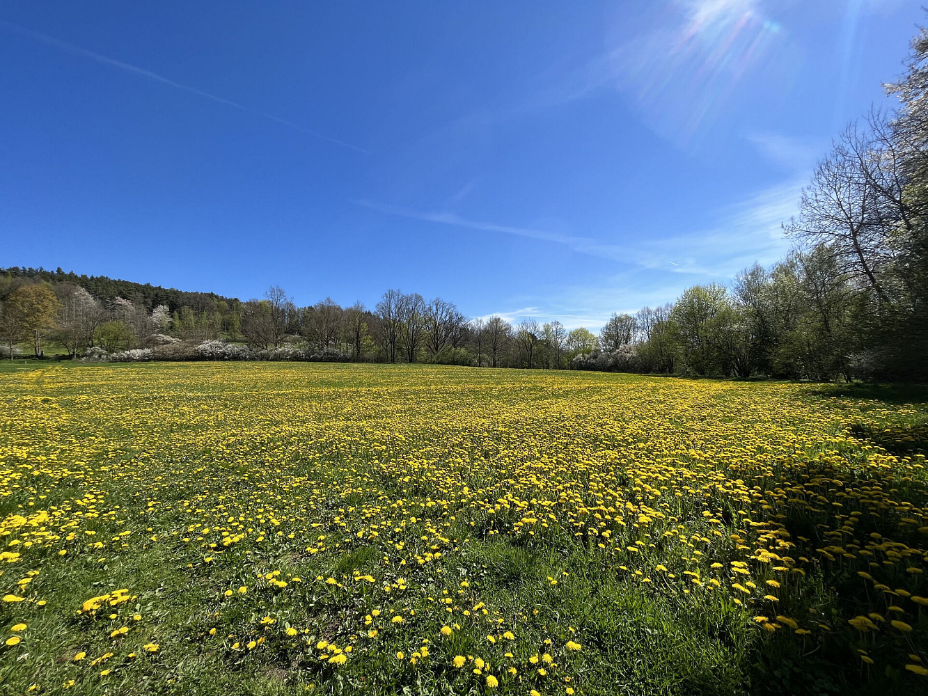 Prodej pole 15 428 m² – fotografie 5