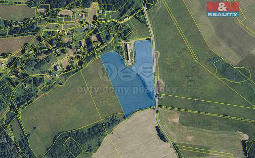 Prodej stavebního pozemku 43 959 m², Králíky - Dolní Boříkovice, okres Ústí nad Orlicí