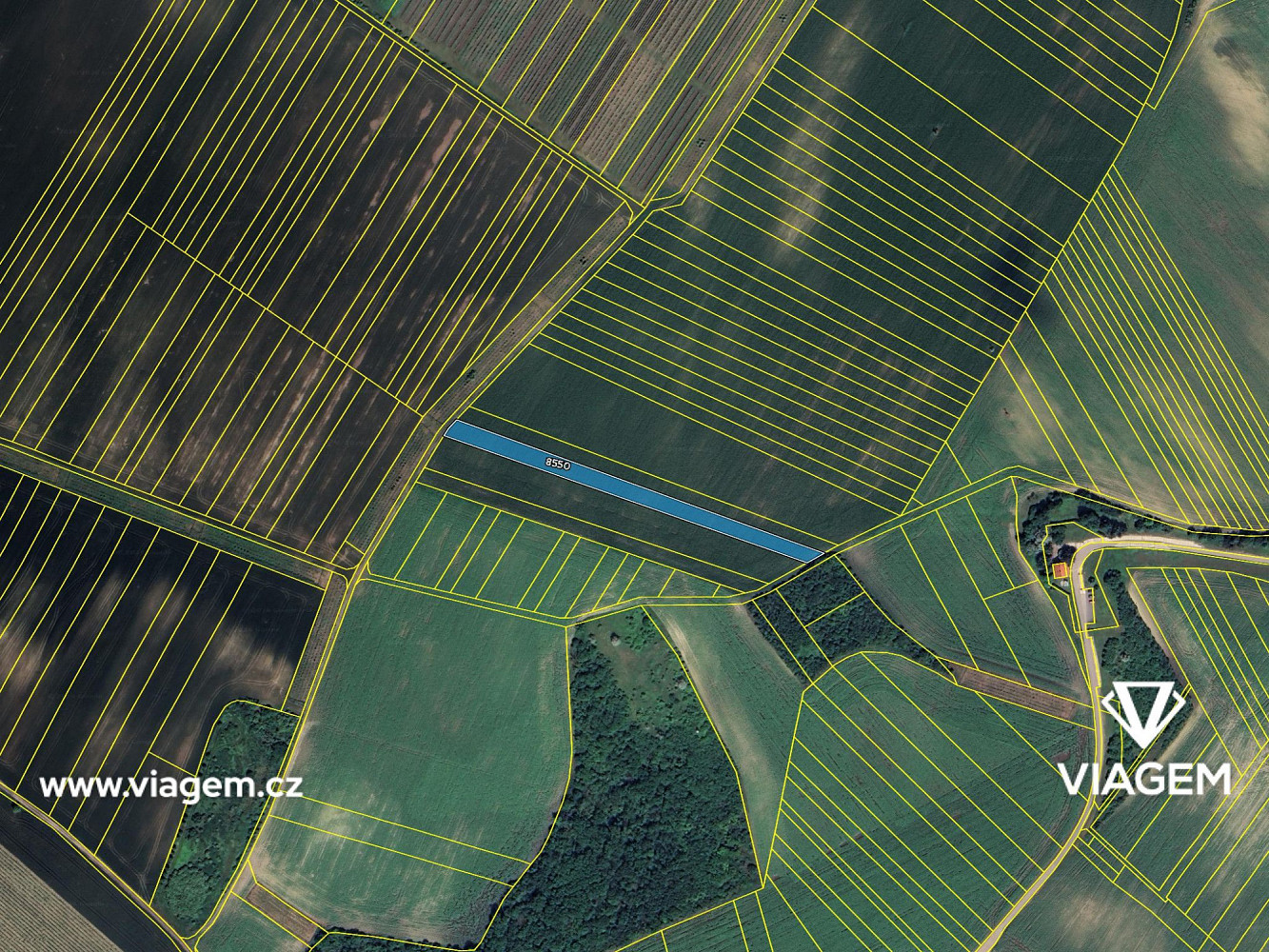 Prodej pole 1 786 m² – fotografie 4