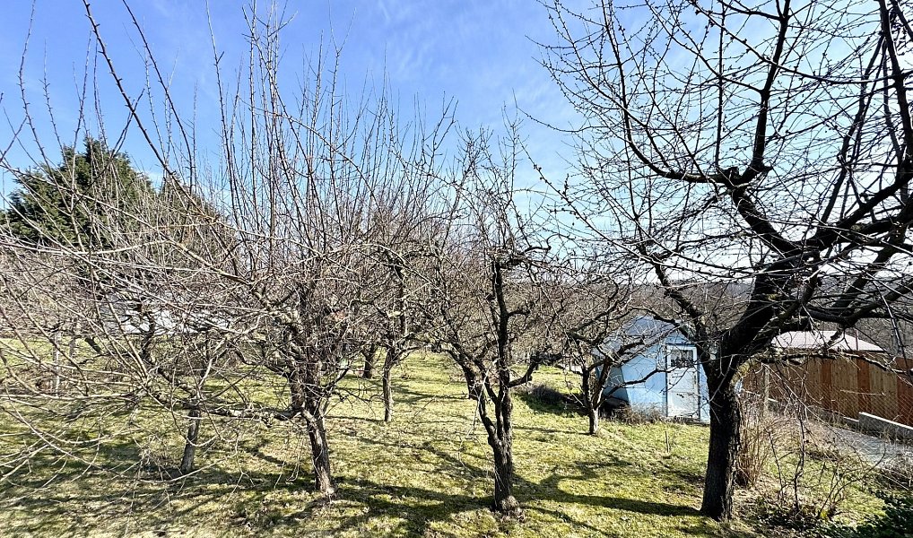 Prodej zahrady 511 m², Dyje – náhled fotky 6