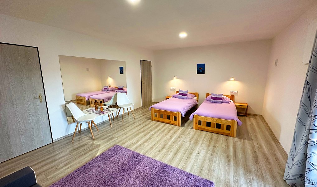 Prodej ubytovacího objektu 750 m², Ratibořské Hory – náhled fotky 10