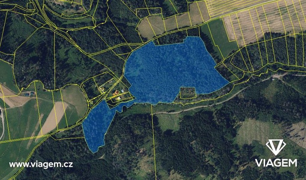 Prodej lesa 1 470 m², Letovice – náhled fotky 3