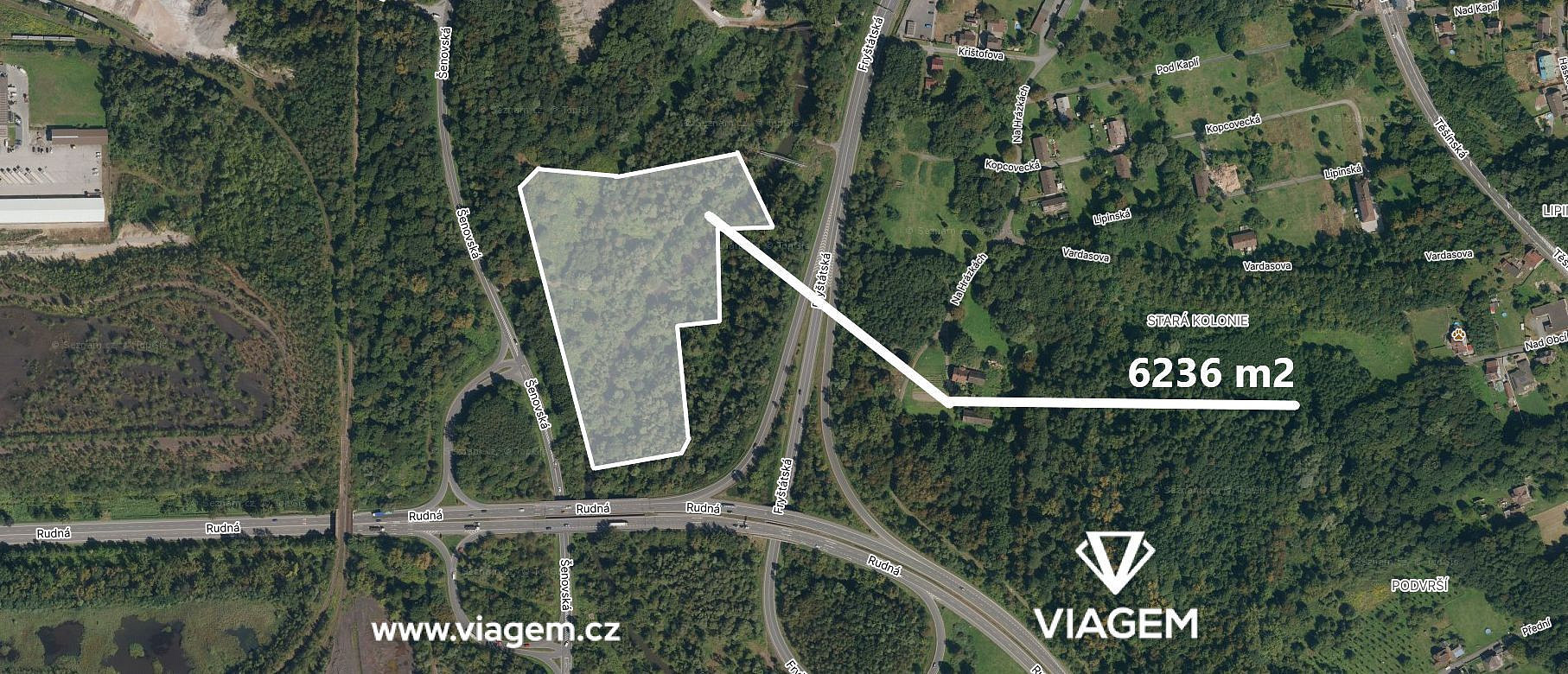 Prodej lesa 6 236 m² – fotografie 4