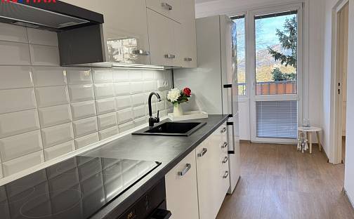 Pronájem bytu 2+1 50 m², Na Pěšině, Děčín - Děčín IX-Bynov