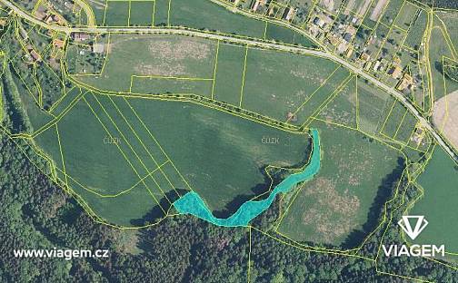 Prodej lesa 4 521 m², Syřenov, okres Semily