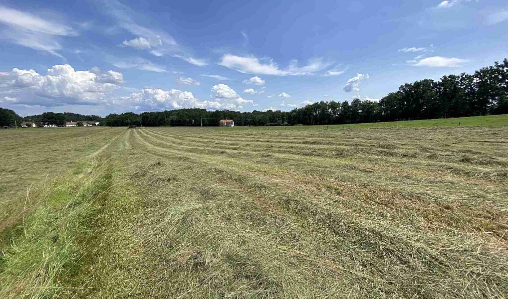 Prodej pole 55 481 m², Lhenice – náhled fotky 14