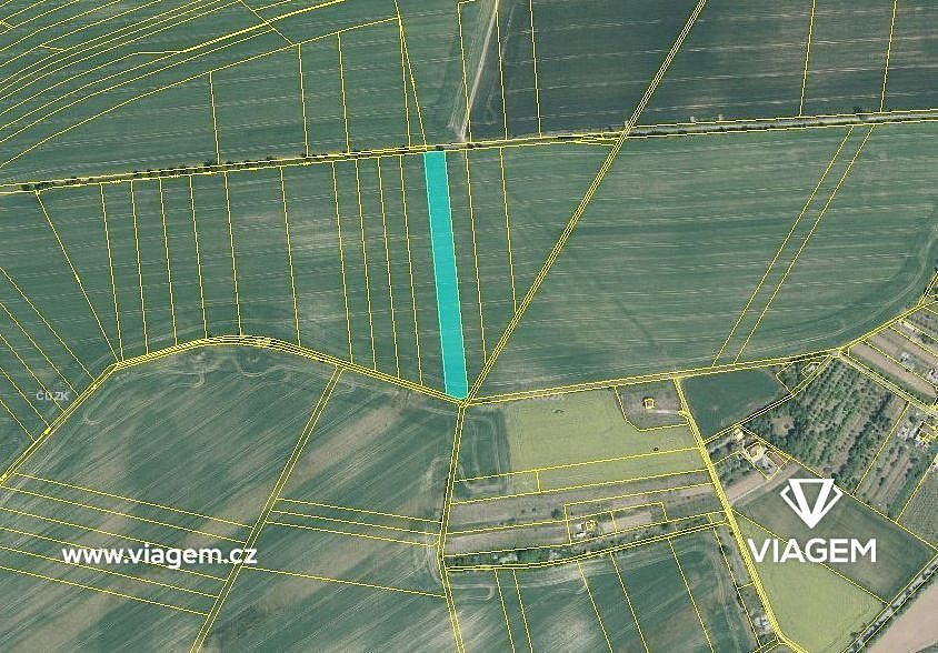 Prodej pole 912 m² – fotografie 3