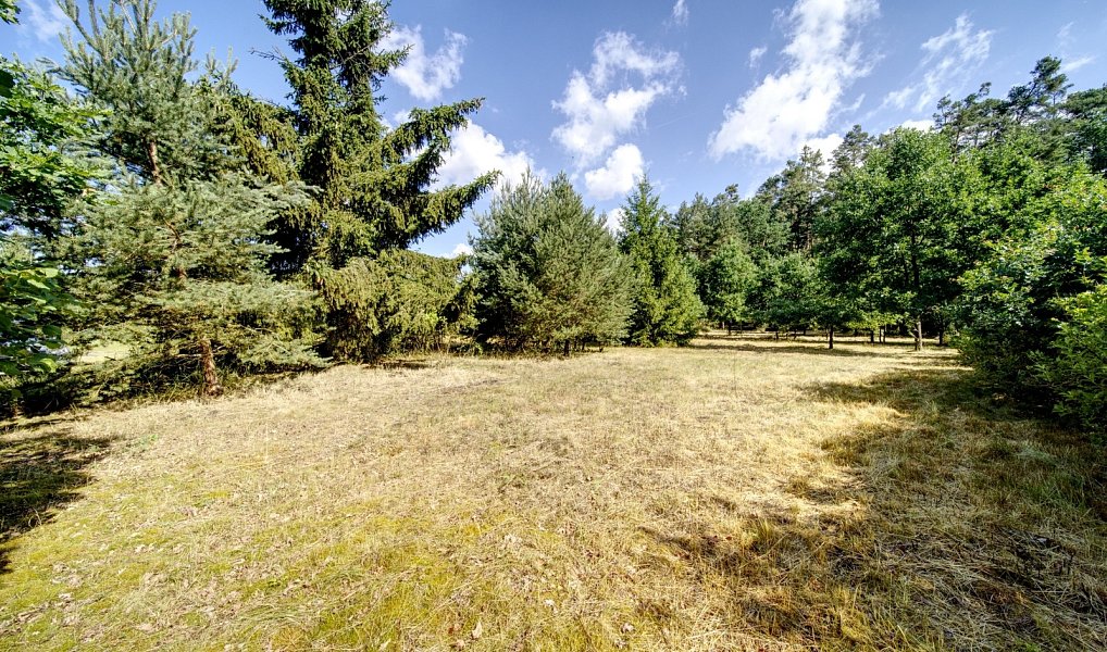 Prodej stavebního pozemku 1 096 m², Pňovany – náhled fotky 10