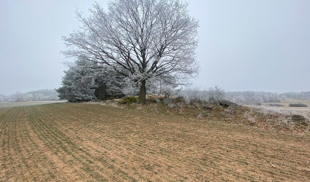 Prodej pole 13 059 m², Slatina – náhled fotky 5