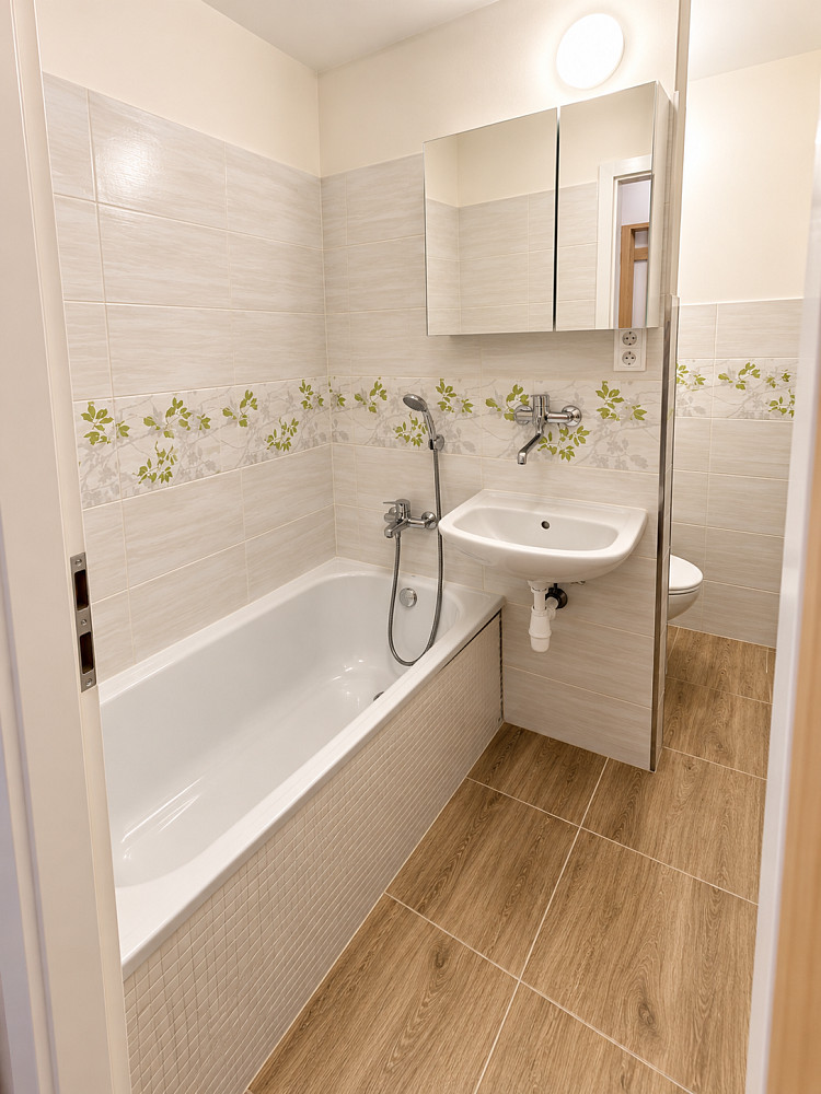 Pronájem bytu 1+1 35 m² – fotografie 5