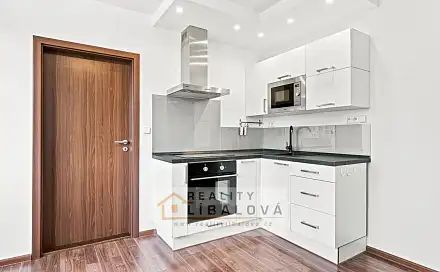 Pronájem bytu 1+1 33 m²