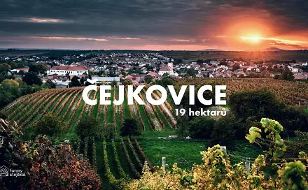 Prodej pole 194 311 m², Čejkovice, okres Hodonín