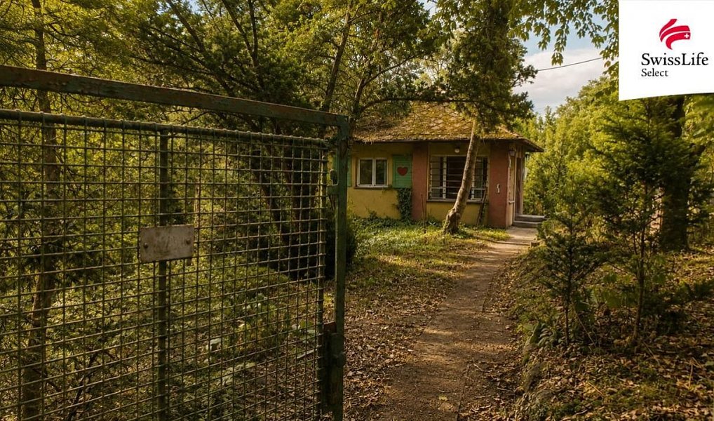 Prodej stavebního pozemku 1 165 m², Plzeň – náhled fotky 7