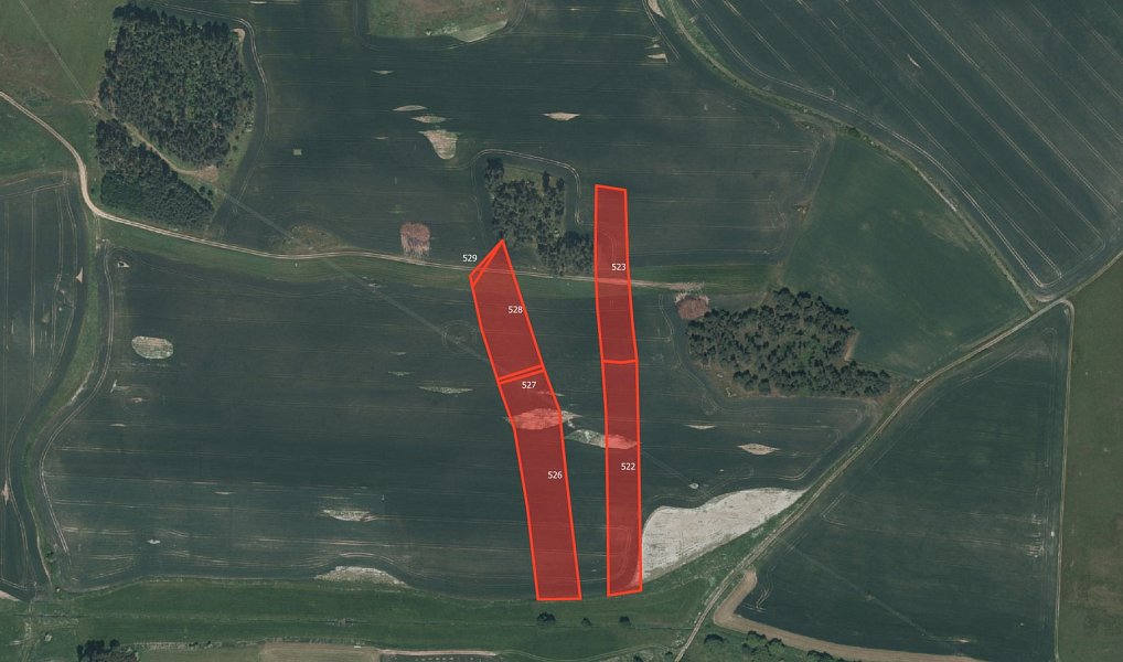 Prodej pole 41 758 m², Velký Bor – náhled fotky 4