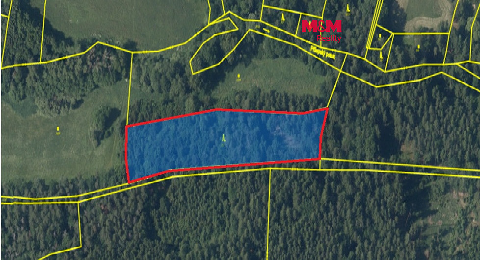 Prodej lesa 7 138 m²