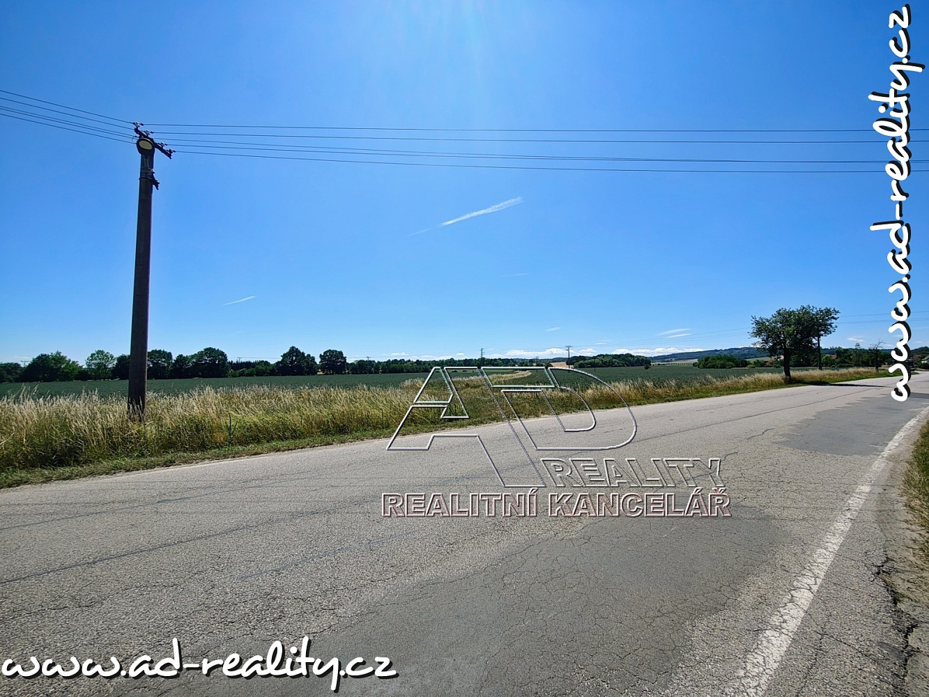 Prodej pole 3 872 m² – fotografie 3
