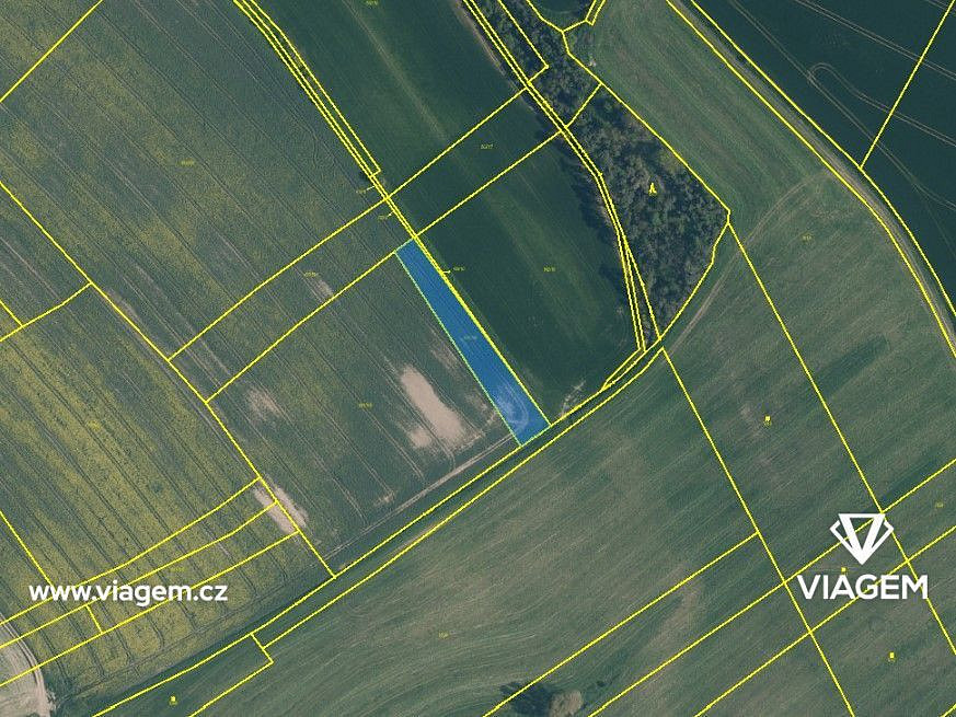 Prodej pole 1 795 m² – fotografie 4
