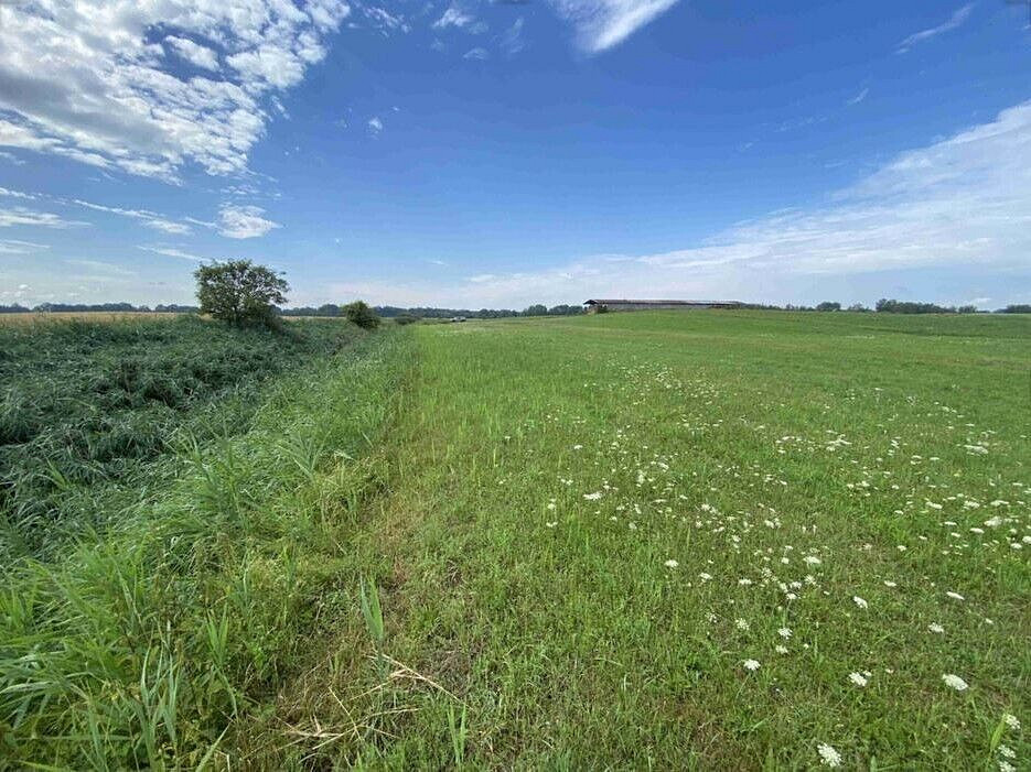Prodej pole 16 506 m² – fotografie 3