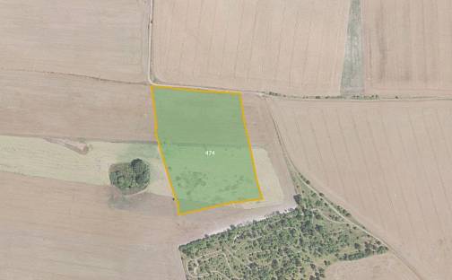 Prodej pole 7 802 m², Velvary - Velká Bučina, okres Kladno