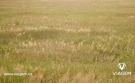 Prodej pole 7 300 m², Blatno, okres Chomutov