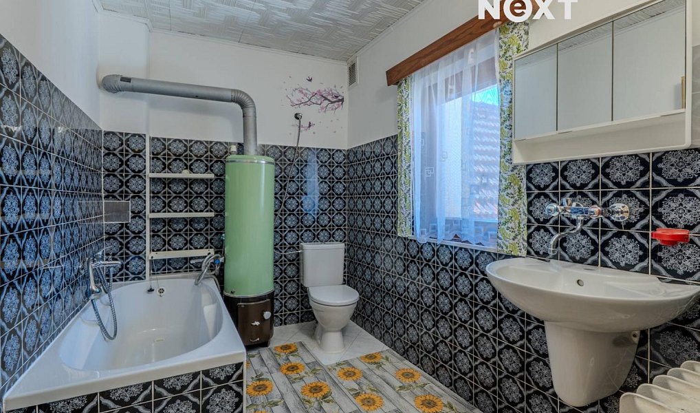 Prodej domu 240 m² s pozemkem 1 150 m², Boršice u Blatnice – náhled fotky 17