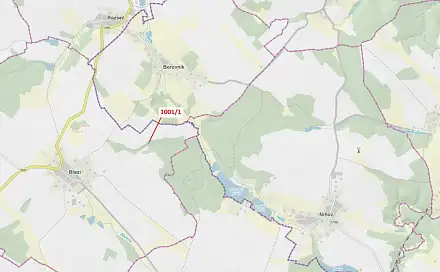 Dražba pozemku 346 m², Borovník