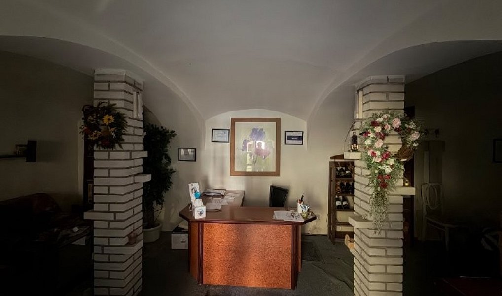 Prodej obchodních prostor 250 m², Pelhřimov – náhled fotky 14