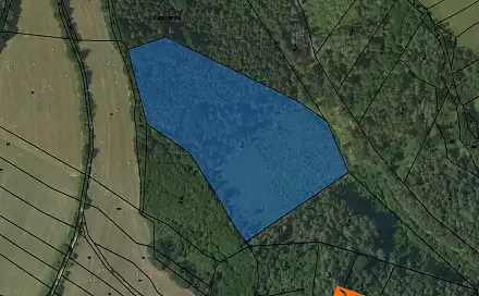 Prodej lesa 180 m², Tišnov, okres Brno-venkov